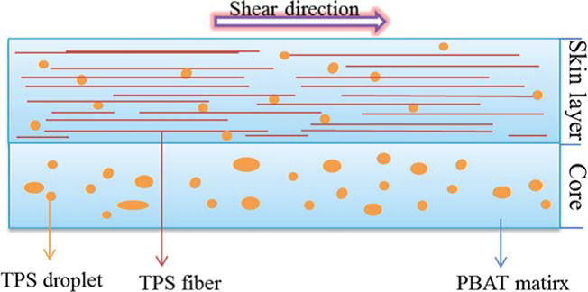 Strong and ductile poly(butylene adipate-co-terephthalate) biocomposites fabricated by oscillation shear injection molding