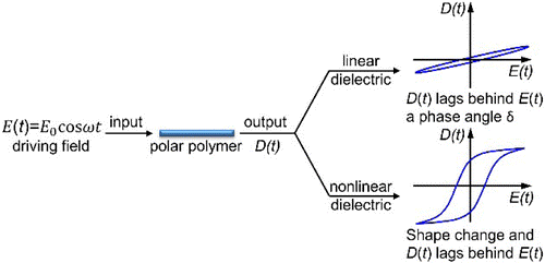  Understanding Nonlinear Dielectric Properties in a Biaxially Oriented Poly(vinylidene fluoride) Film at Both Low and High Electric Fields