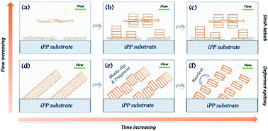 Crystallization of linear low density polyethylene on an in situ oriented isotactic polypropylene substrate manipulated by an extensional flow field