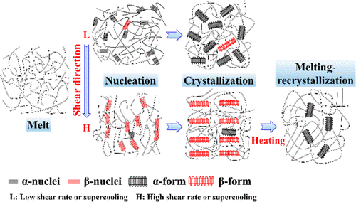  Dominant beta-Form of Poly(L-lactic acid) Obtained Directly from Melt under Shear and Pressure Fields