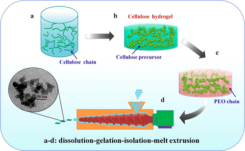 Simultaneous Preparation and Dispersion of Regenerated Cellulose Nanoparticles Using a Facile Protocol of Dissolution-Gelation-Isolation-Melt Extrusion