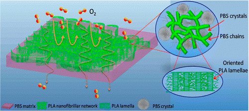 In Situ Nanofibrillar Networks Composed of Densely Oriented Polylactide Crystals as Efficient Reinforcement and Promising Barrier Wall for Fully Biodegradable Poly(butylene succinate) Composite Films. 