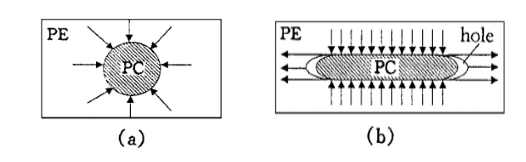 Droplet/fiber transitions in polyethylene/polycarbonate blend generated during drawing or impacting and observed through scanning electron microscope.