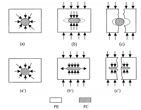 Fibre formation based toughening in polycarbonate/polyethylene alloy compatibilized with diallyl bisphenol A ether grafted polyethylene.