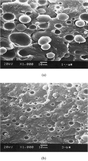 Studies on polyamide-6/polyolefin blend system compatibilized with epoxidized natural rubber