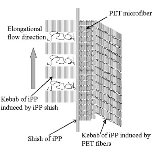 Transcrystalline morphology of an in situ microfibrillar poly(ethylene terephthalate)/poly(propylene) blend fabricated through a slit extrusion hot stretching-quenching process.