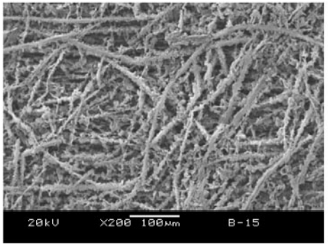 Formation of in situ CB/PET microfibers in CB/PET/PE composites by slit die extrusion and hot stretching.