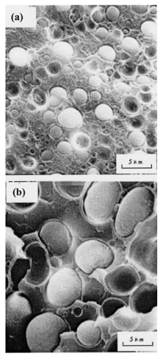 Morphology and tensile properties of polycarbonate-polyethylene alloy in phase inversion region