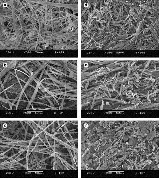 The role of the surface microstructure of the microfibrils in an electrically conductive microfibrillar carbon black/poly (ethylene terephthalate)/polyethylene composite