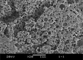 Expandable graphite for halogen-free flame-retardant of high-density rigid polyurethane foams