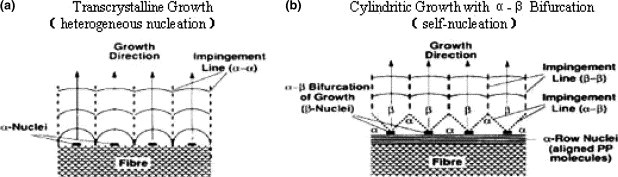 On transcrystallinity in semi-crystalline polymer composites