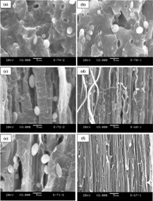 Influence of matrix polymer on deformation and morphology of injection molded immiscible blends with high interfacial contact