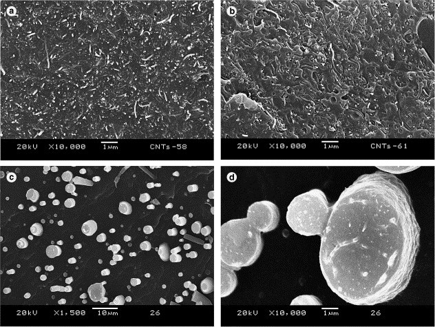 A novel approach to preparing carbon nanotube reinforced thermoplastic polymer composites