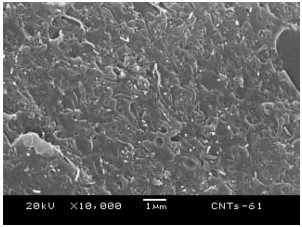 Morphological manipulation of carbon nanotube/polycarbonate/polyethylene composites by dynamic injection packing molding