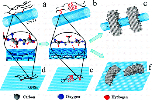 Isothermal Crystallization of Poly(L-lactide) Induced by Graphene Nanosheets and Carbon Nanotubes: A Comparative Study