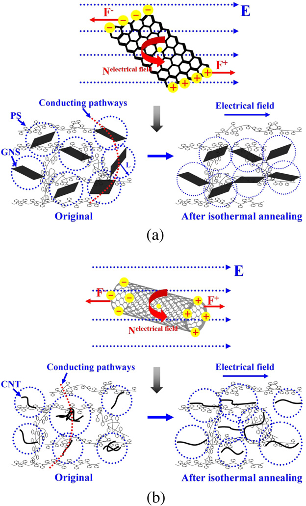 The effect of electric field, annealing temperature and filler loading on the percolation threshold of polystyrene containing carbon nanotubes and graphene nanosheets