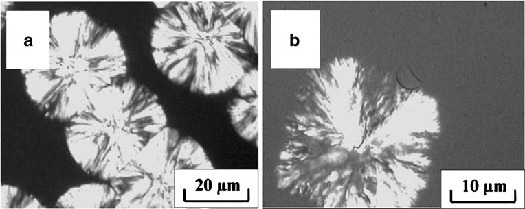 Shear induced crystallization of poly(L-lactide) and poly(ethylene glycol) (PLLA-PEG-PLLA) copolymers with different block length