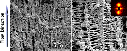 Formation of shish-kebabs in injection-molded poly(l-lactic acid) by application of an intense flow field