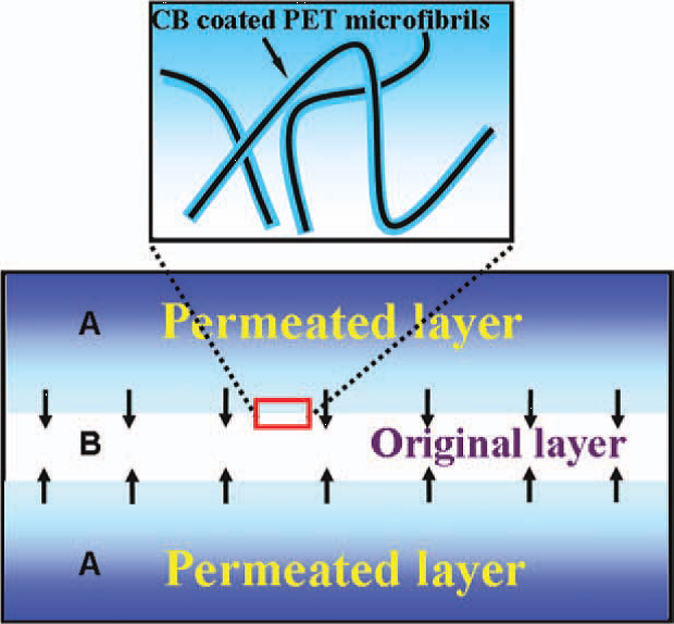 Organic liquid stimuli-response behaviors of electrically conductive microfibrillar composite with a selective conductive component distribution