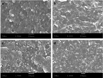 Morphology and crystallization behavior of compatibilized isotactic polypropylene/poly(butylene terephthalate) blends under shear flow