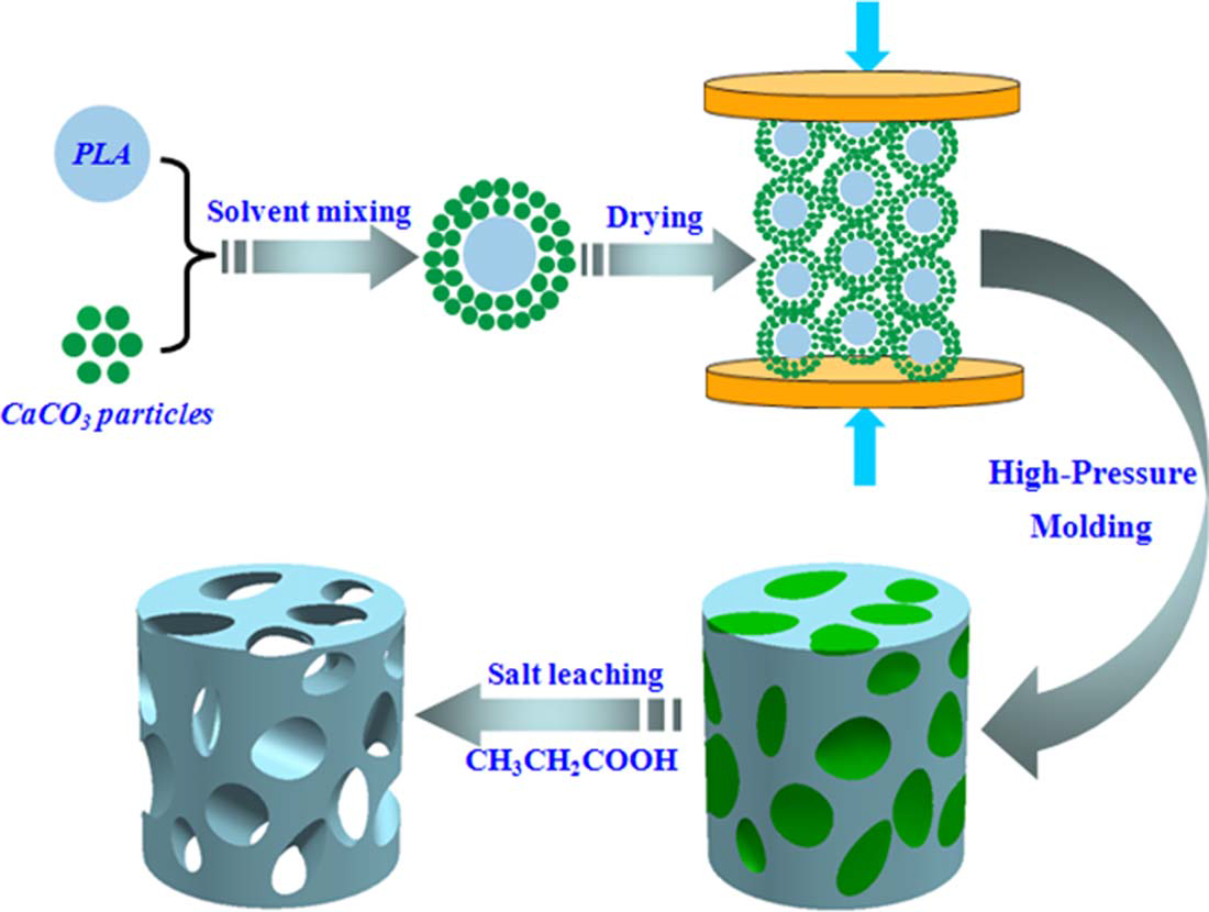 Ultraporous poly(lactic acid) scaffolds with improved mechanical performance using high-pressure molding and salt leaching