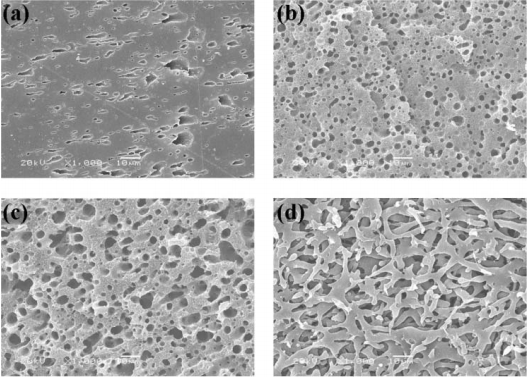  A Conductive Carbon Nanotube-Polymer Composite Based on a Co-continuous Blend