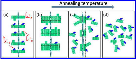 Crystalline Structure Changes in Preoriented Metallocene-Based Isotactic Polypropylene upon Annealing