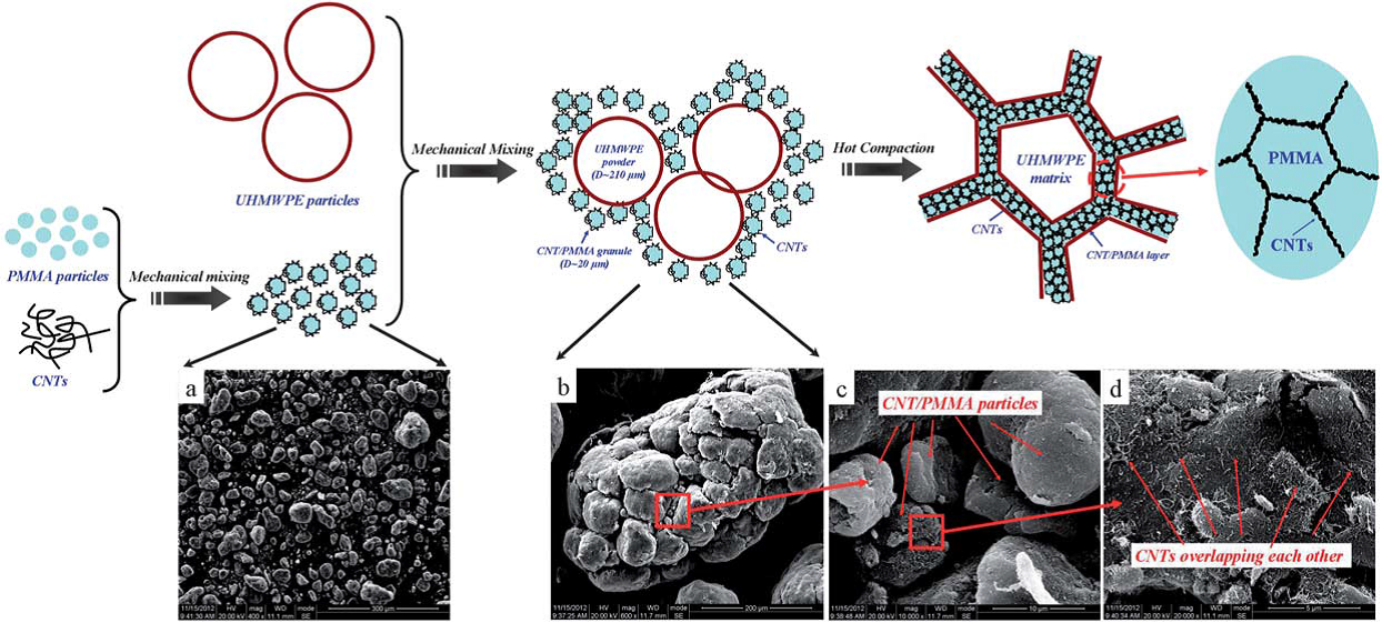 Double-segregated carbon nanotube-polymer conductive composites as candidates for liquid sensing materials.