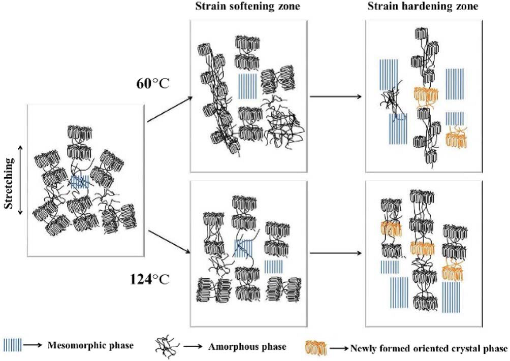  Structure Evolution upon Uniaxial Drawing Skin- and Core-Layers of Injection-Molded Isotactic Polypropylene by In Situ Synchrotron X-ray Scattering