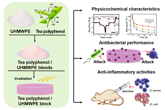 Antibacterial and anti-inflammatory ultrahigh molecular weight polyethylene/tea polyphenol blends for artificial joint applications.