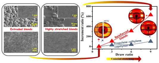 Robust propylene-ethylene copolymer/polypropylene films: extensional stress-induced orientation realized at low temperature processing. 