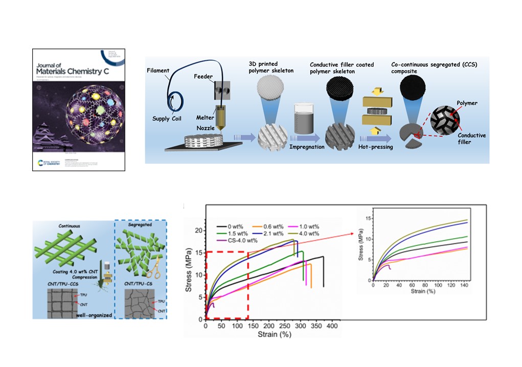 An Electrically Conductive Polymer Composite with Co-continuous Segregated Structure for Enhanced Mechanical Performance. 