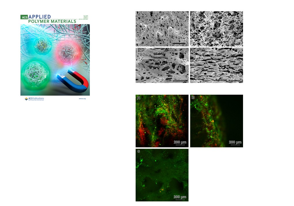 Tailored Surface Porosity of Polyethylene-Based Co-continuous Structures for Moving Bed Biofilm Reactor Carriers.