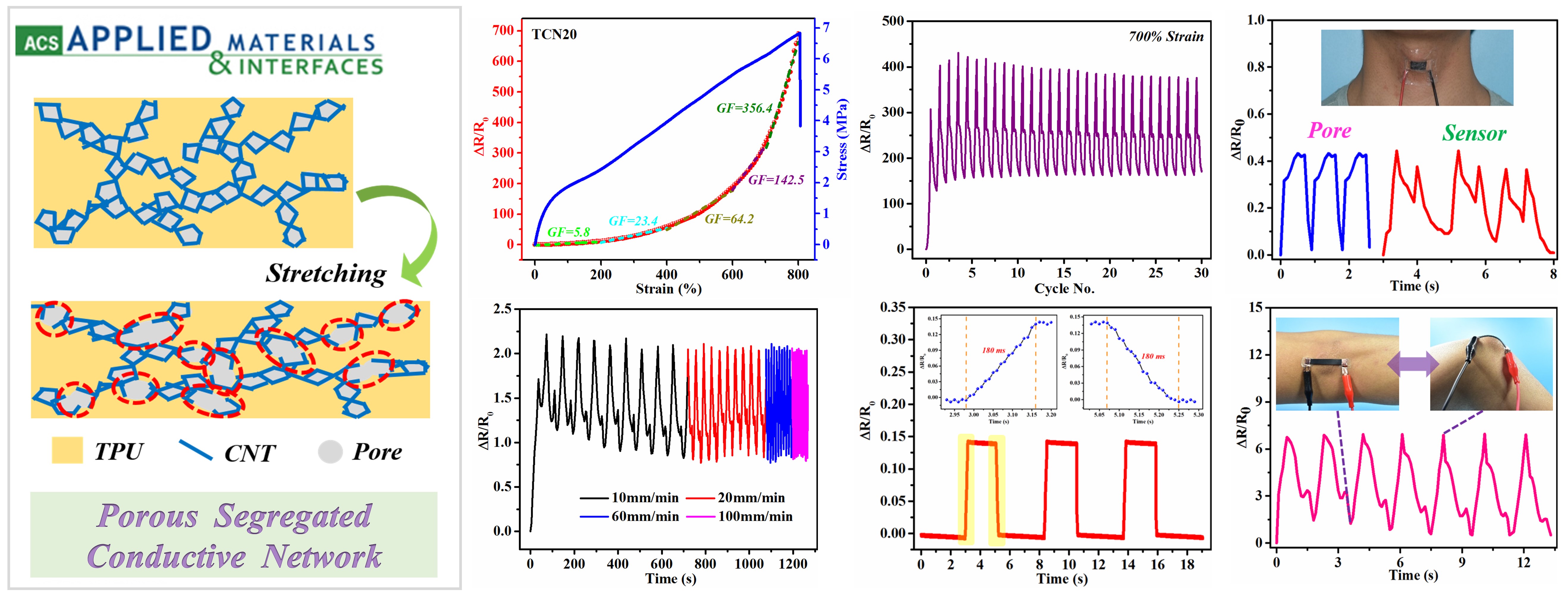  Highly Stretchable and Sensitive Strain Sensor with Porous Segregated Conductive Network. 