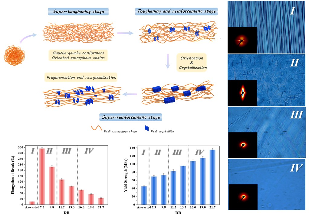 Extensional Stress-Induced Orientation and Crystallization Can Regulate the Balance of Toughness and Stiffness of Polylactide Film: Interplay of Oriented Amorphous Chains and Crystallites.