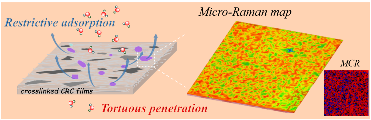 Interconnected microdomain structure of a crosslinked cellulose nanocomposite revealed by micro-Raman imaging and its influence on water permeability of a film. 