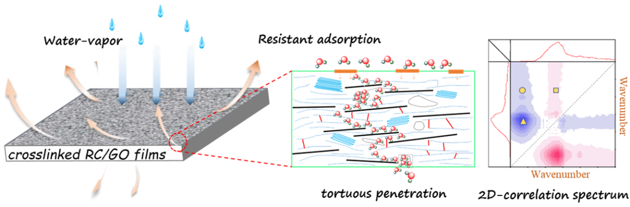 Robust cellulose nanocomposite films based on covalently cross-linked network with effective resistance to water permeability