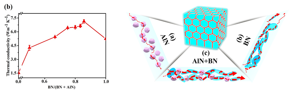 Synergetic enhancement of thermal conductivity by constructing hybrid conductive network in the segregated polymer composites.