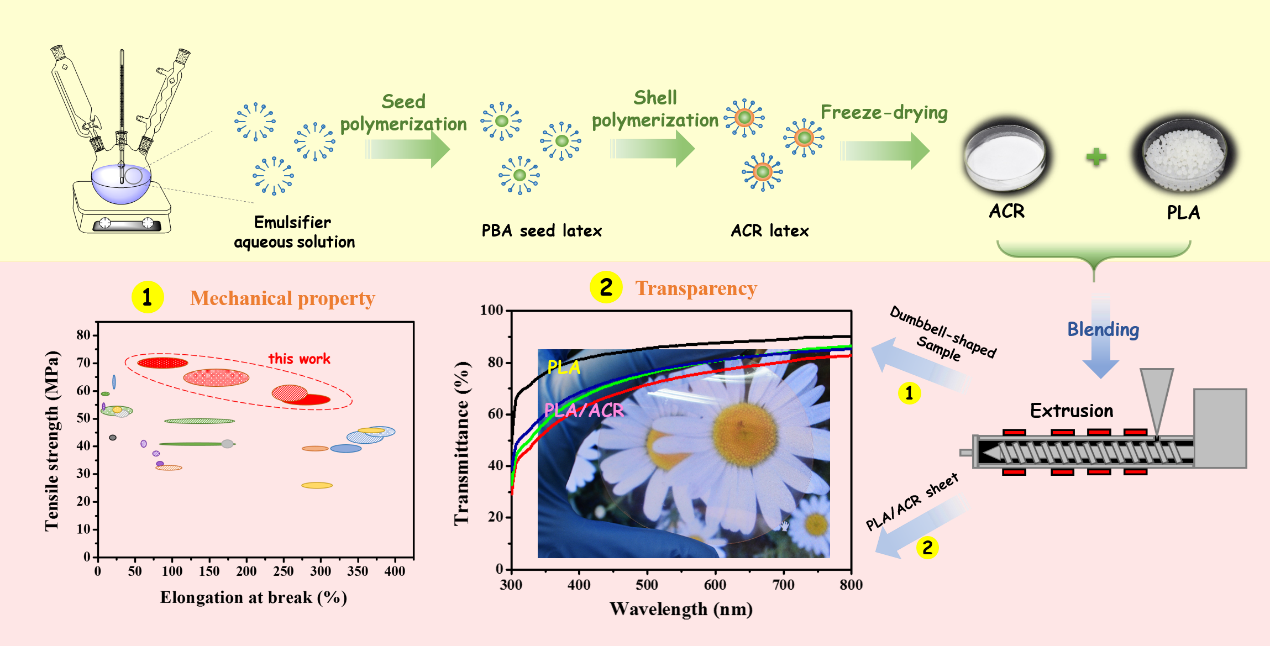 Core-shell nanoparticles toughened polylactide with excellent transparency and stiffness-toughness balance.