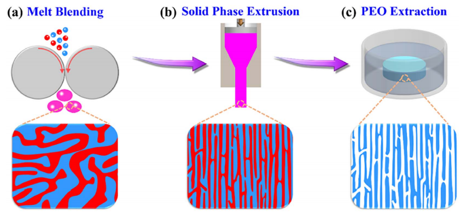 Highly aligned and interconnected porous poly(epsilon-caprolactone) scaffolds derived from co-continuous polymer blends.