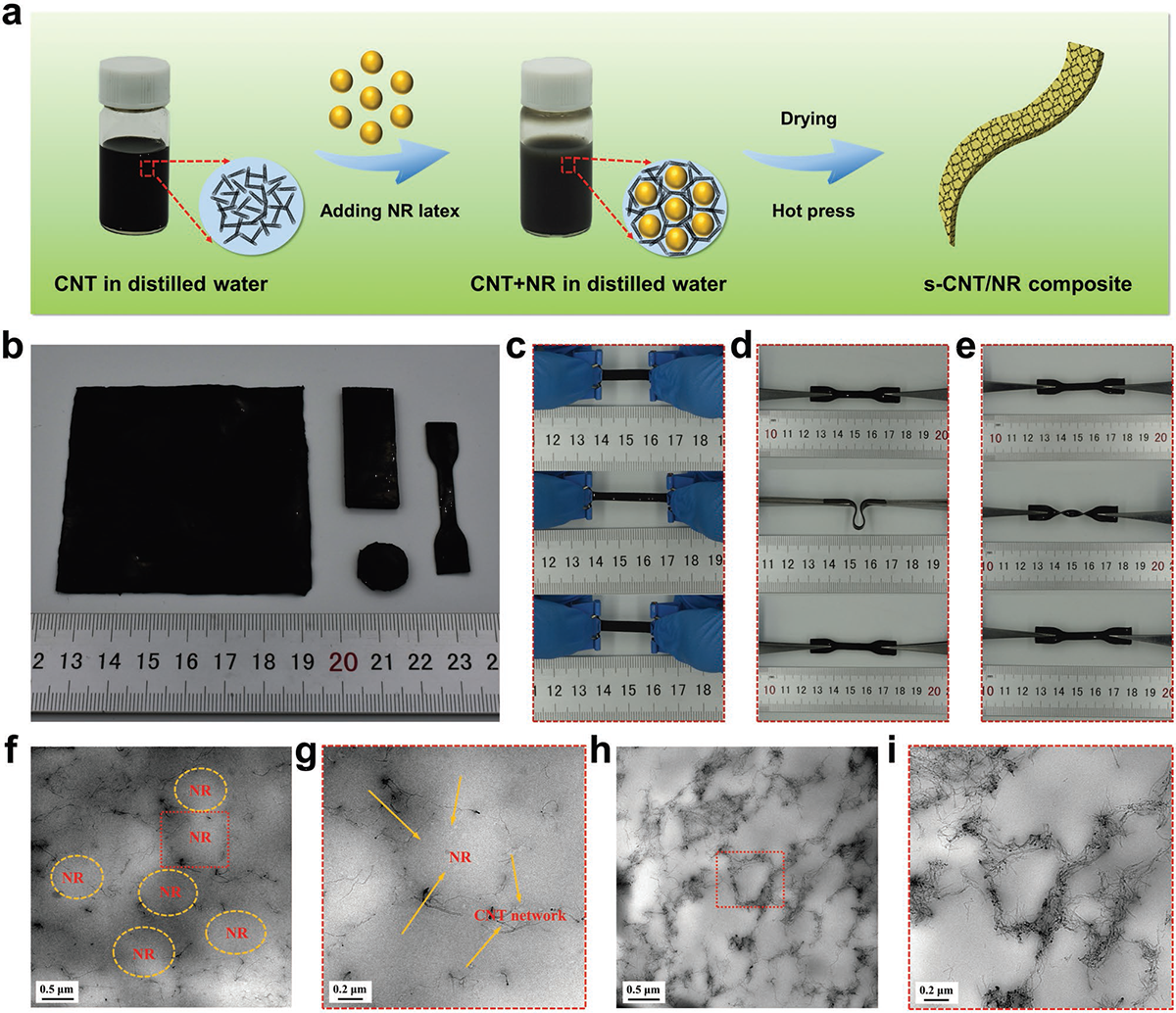 High Strain Tolerant EMI Shielding Using Carbon Nanotube Network Stabilized Rubber Composite.