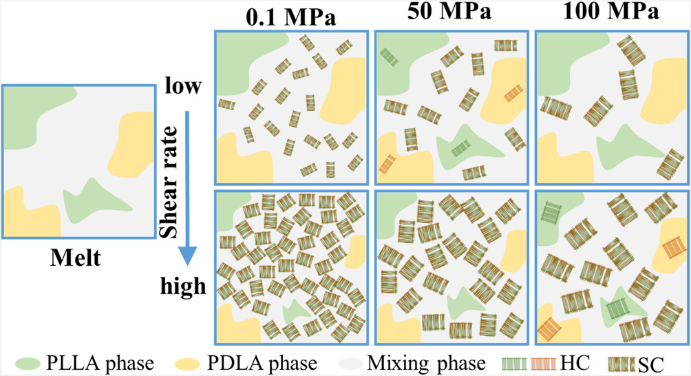 Flow-induced crystallization of poly(lactide) stereocomplex under pressure. 