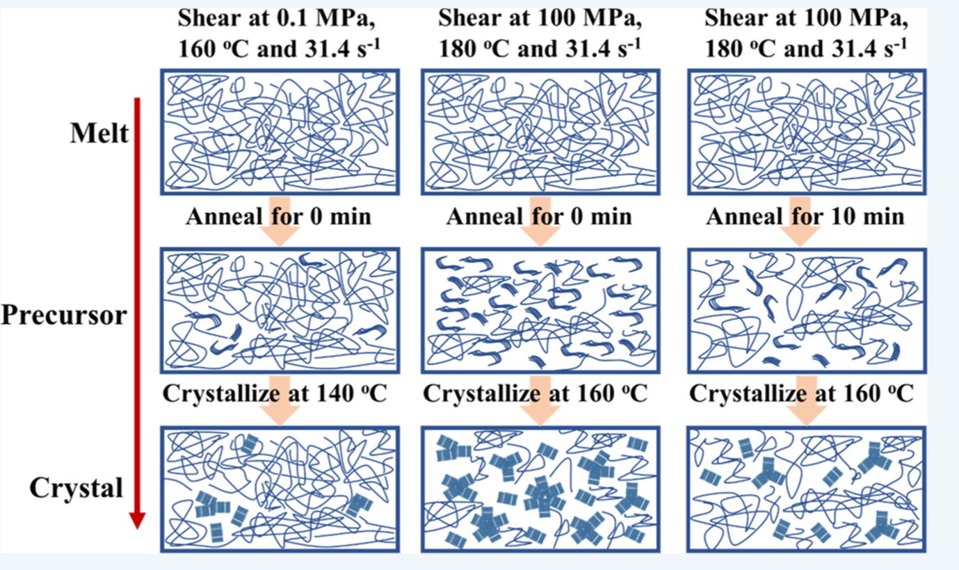 Flow-Induced Precursor Formation of Poly(l-lactic acid) under Pressure.