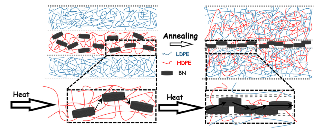 Enhanced thermal conductivity of polyethylene/boron nitride multilayer sheets through annealing.