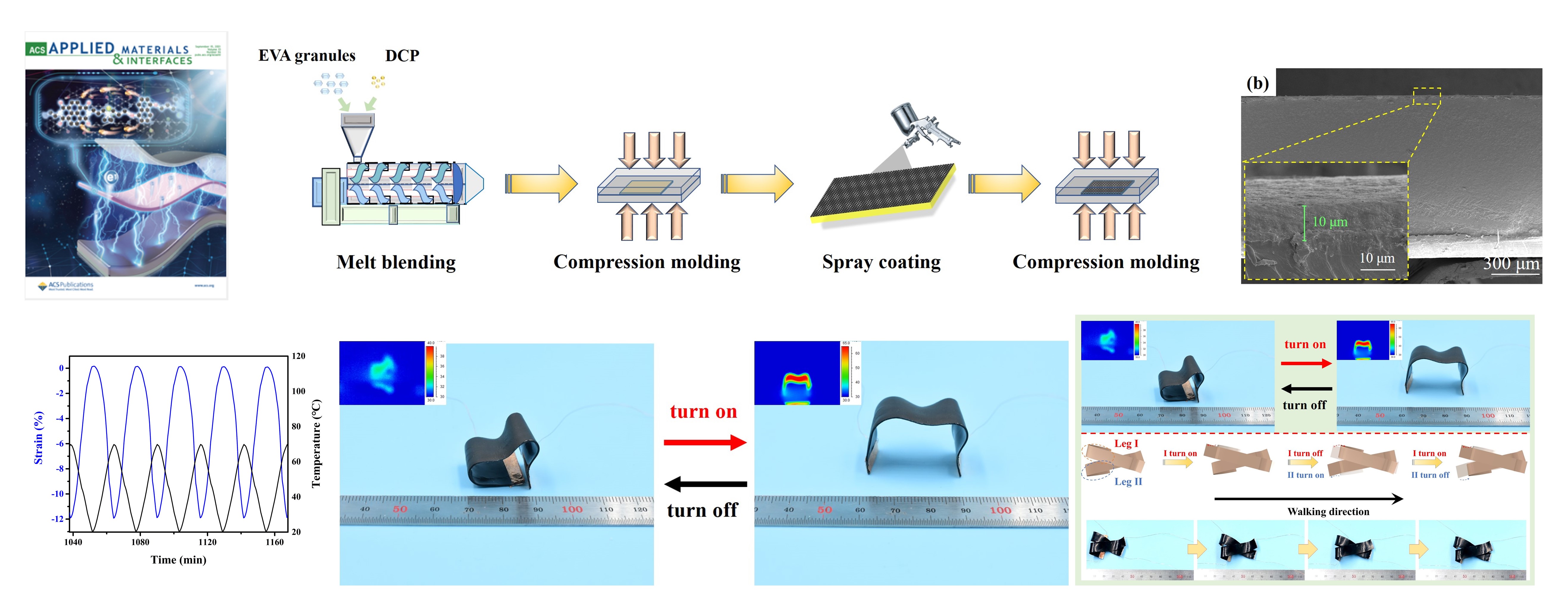 Low-Voltage Actuator with Bilayer Structure for Various Biomimetic Locomotions