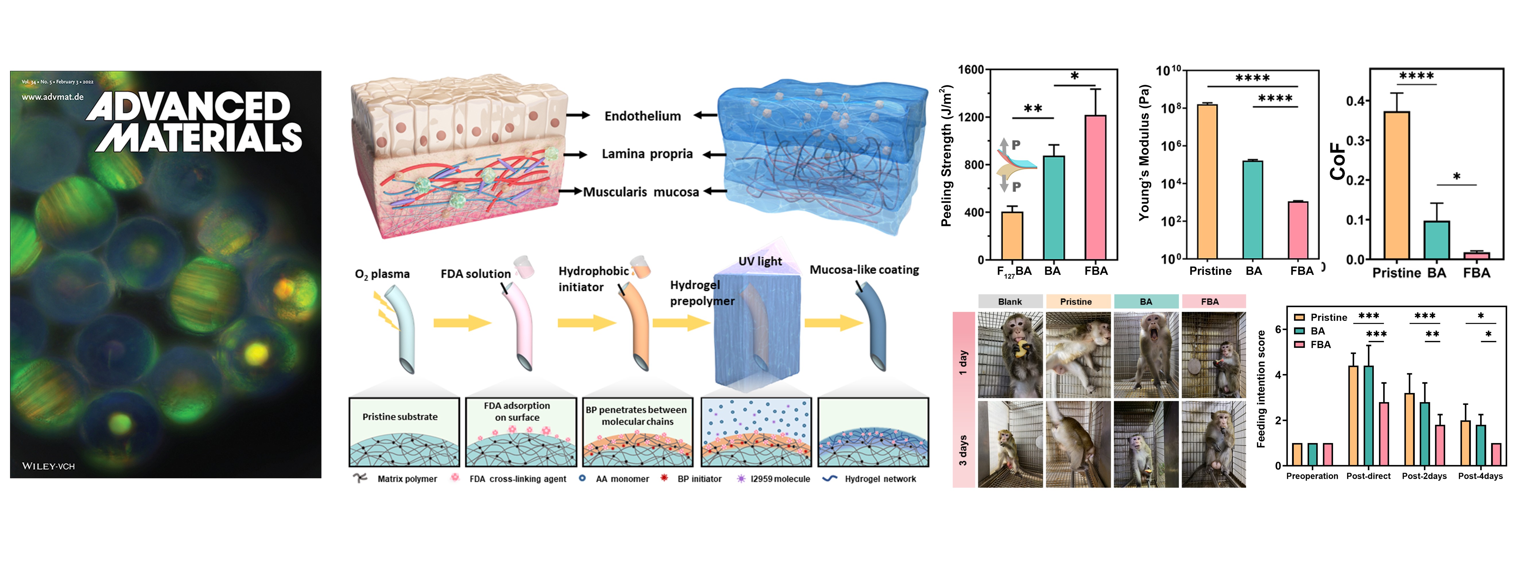 Mucosa-Like Conformal Hydrogel Coating for Aqueous Lubrication