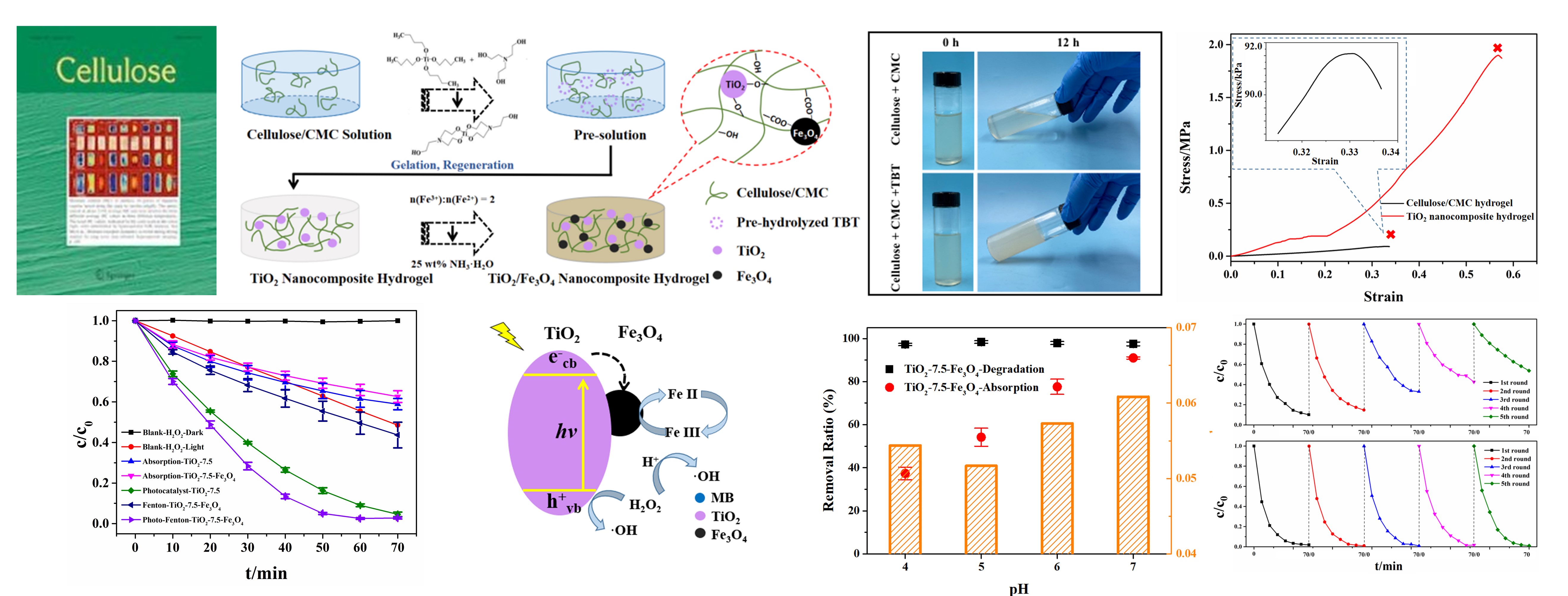 In-situ constructing robust cellulose nanocomposite hydrogel network with well-dispersed dual catalysts for the efficient, stable and recyclable photo-Fenton degradation