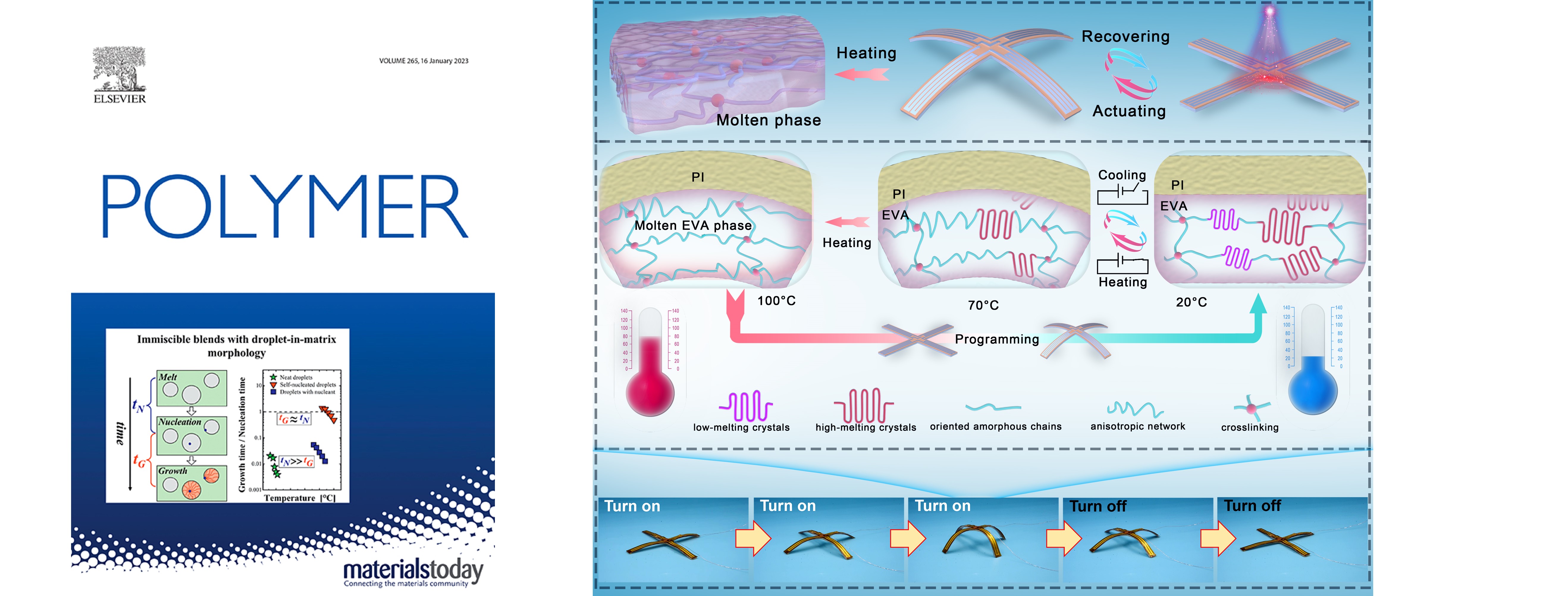 A programable biomimetic actuator with large and reversible deformation based on commercial poly (ethylene-co-vinyl acetate)