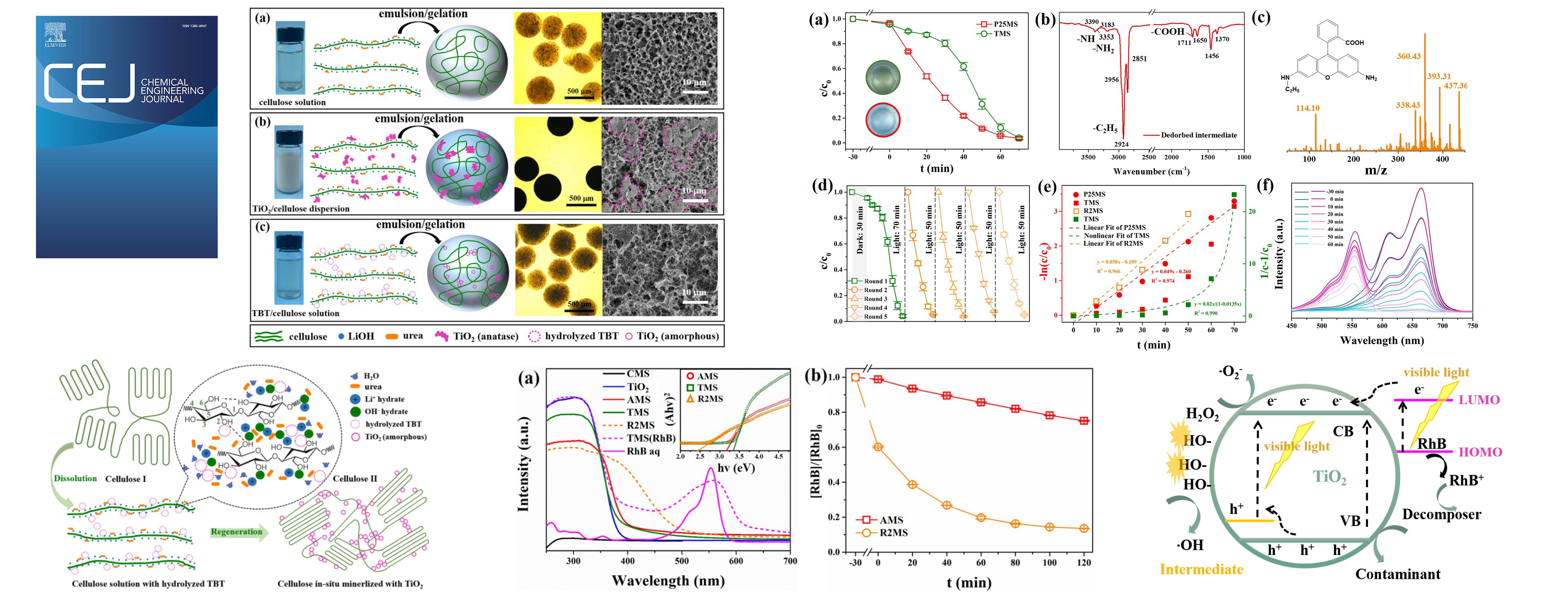 Cellulose mineralization with in-situ synthesized amorphous titanium dioxide for enhanced adsorption and auto-accelerating photocatalysis on water pollutant.