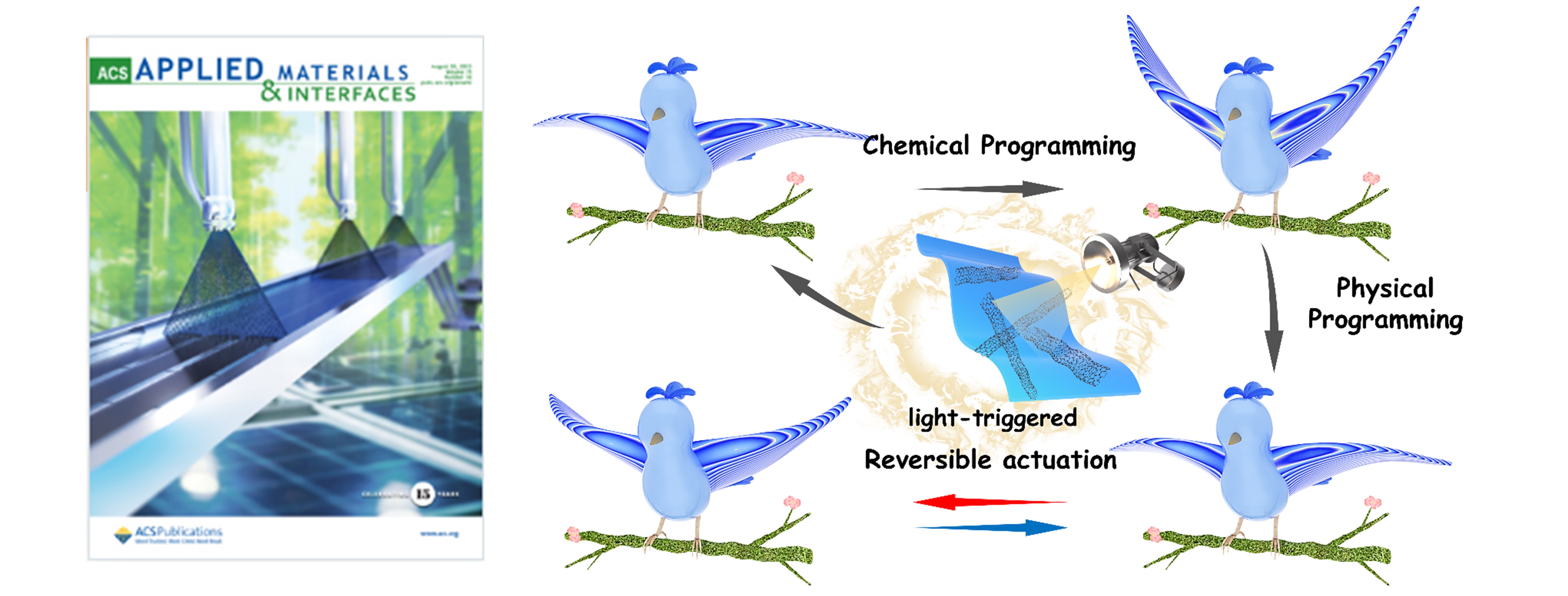 Permanent Shape Reconfiguration and Locally Reversible Actuation of Carbon Nanotube/Ethylene Vinyl Acetate Copolymer Composite by Constructing Dynamic Crosslinked Network